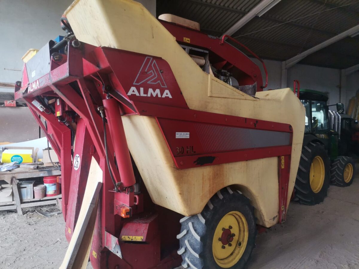 Alma Selecta XL